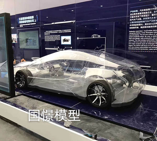 临澧县透明车模型